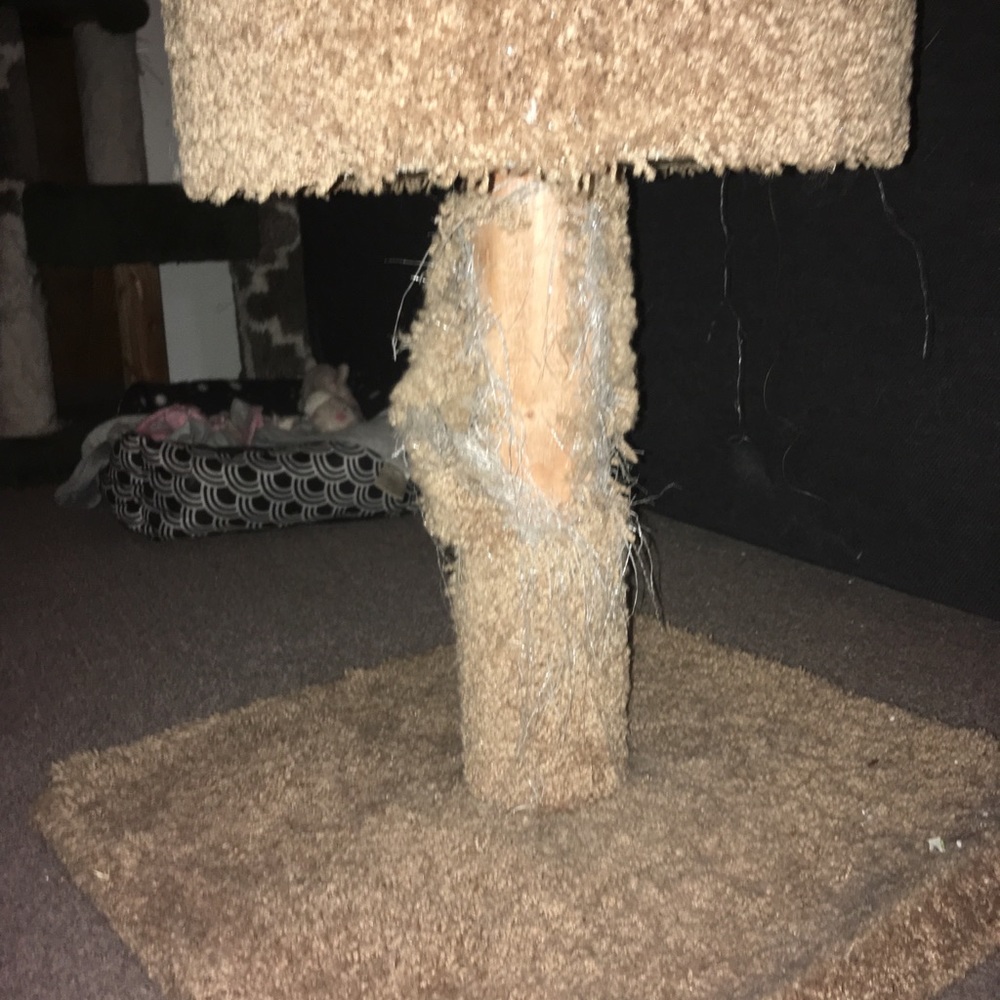 Cat scratching post - Picture 5 of 5